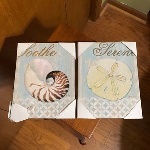 Paul Brent- Canvas Seashell Pictures 🐚 (2)